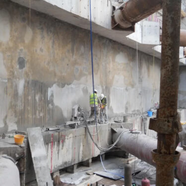 شارات WHALER ​