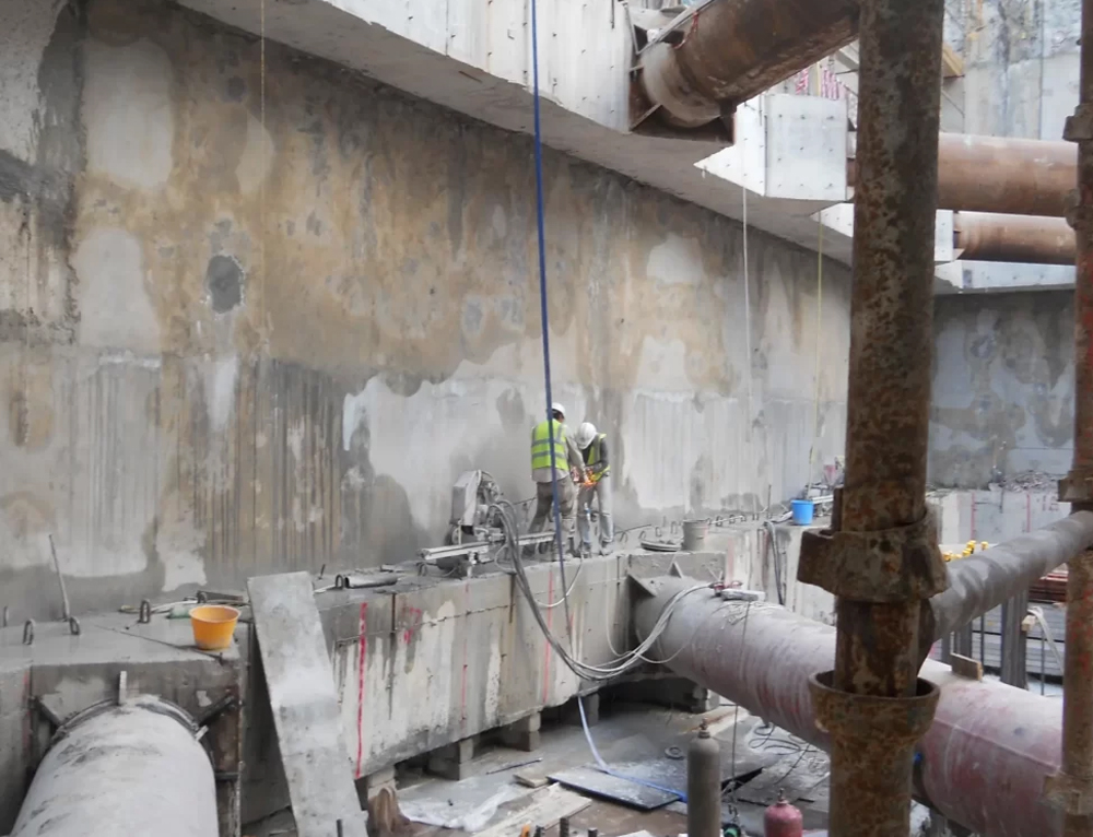 شارات WHALER ​